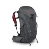 Osprey TALON PRO 30 Herren - Tagesrucksack