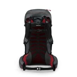 Osprey TALON PRO 30 Herren - Tagesrucksack -Globetrotter Ausrustung Geschaft 5637831539 c talon pro 30 osprey 24