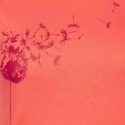 La Sportiva WINDY T-SHIRT W Damen -Globetrotter Ausrustung Geschaft 5638022639 f windy tshirt w la sportiva 24