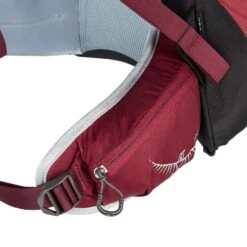 Osprey HIKELITE 28 Unisex - Tagesrucksack -Globetrotter Ausrustung Geschaft 5638030930 i hikelite 28 osprey 24